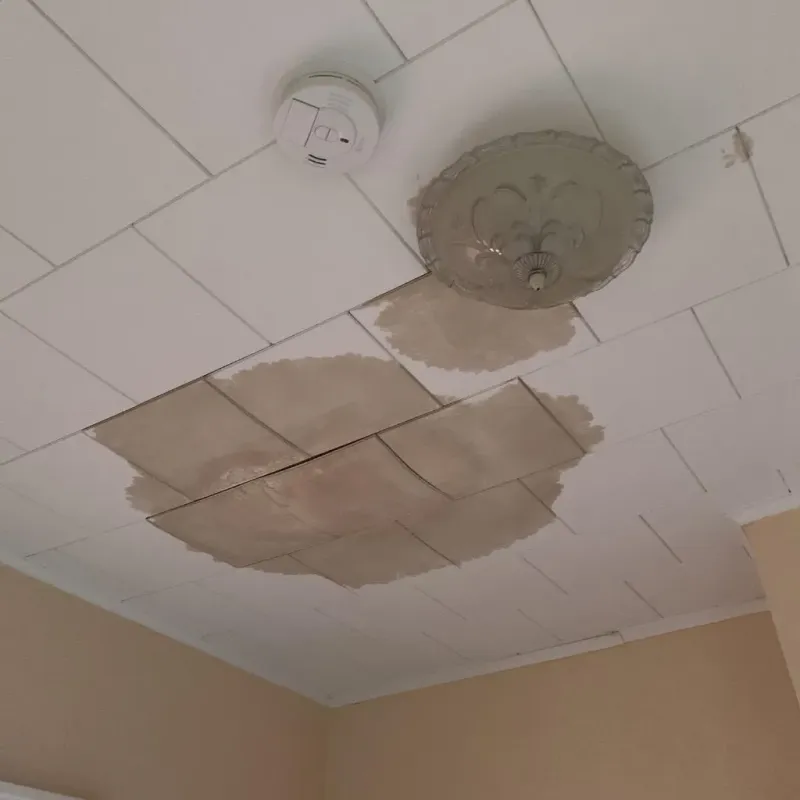 Ceiling Water Damage Repair in Chester County, PA