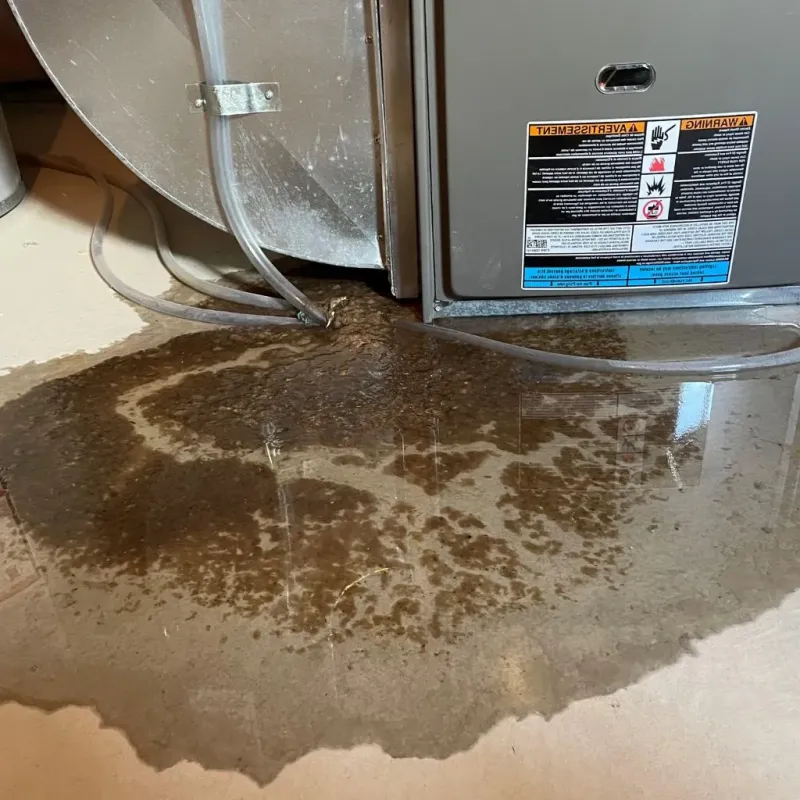Pipe Burst and Leak Restoration in Chester County, PA
