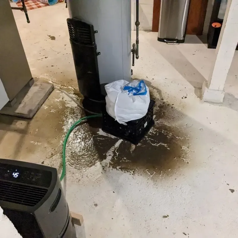 Sewage Backup Cleanup Service in Chester County, PA